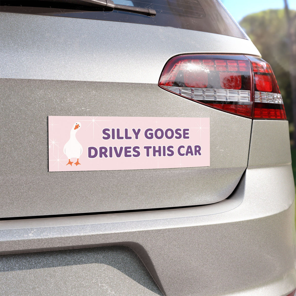 Silly Goose Car Magnet